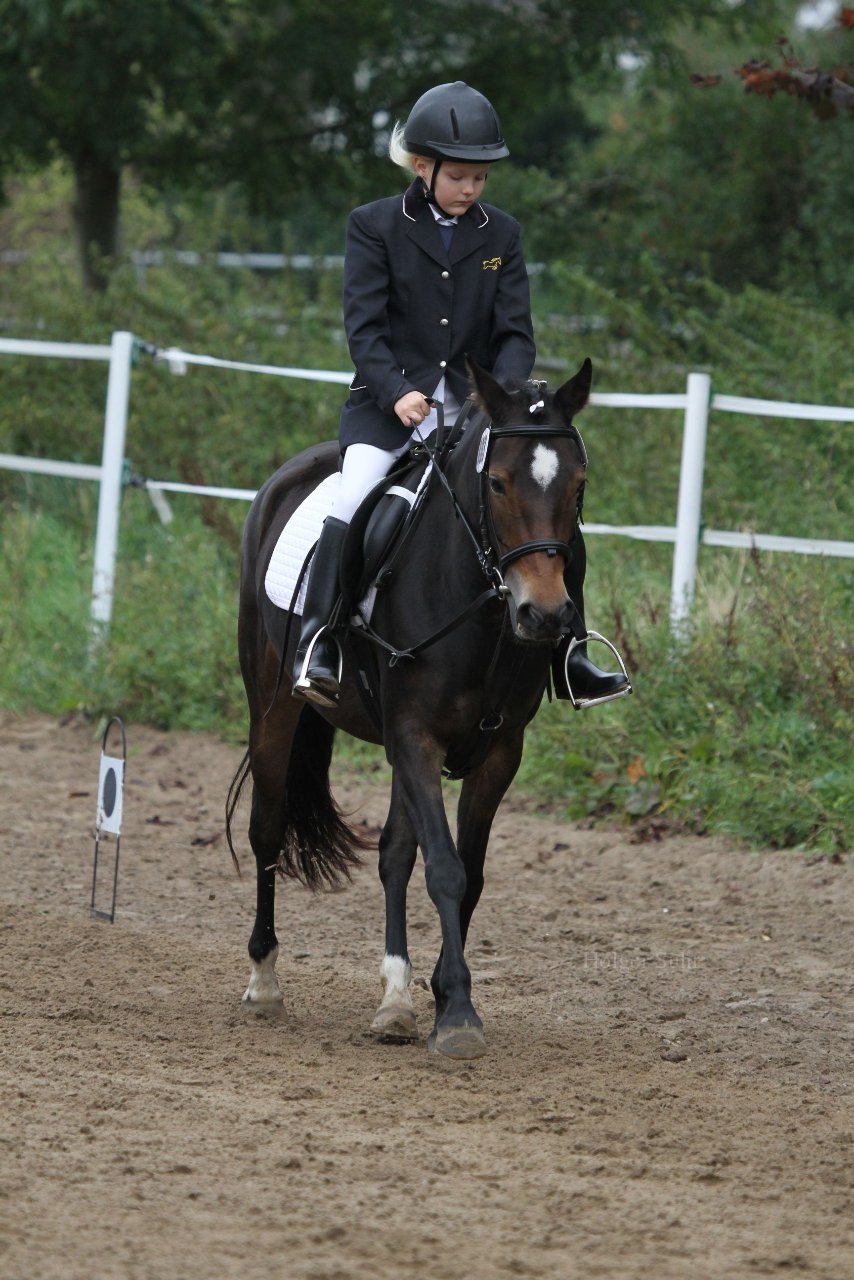Bild 953 - WBO-Turnier am 18.9.11